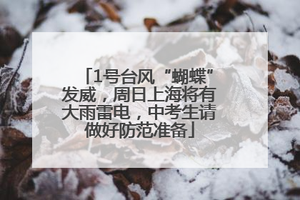 1号台风“蝴蝶”发威，周日上海将有大雨雷电，中考生请做好防范准备