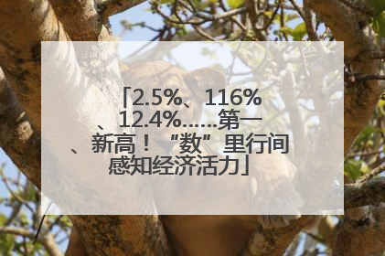 2.5%、116%、12.4%……第一、新高！“数”里行间感知经济活力