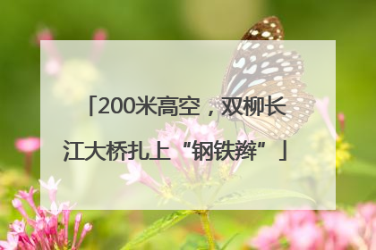 200米高空，双柳长江大桥扎上“钢铁辫”