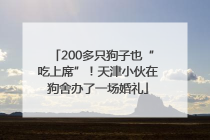 200多只狗子也“吃上席”！天津小伙在狗舍办了一场婚礼