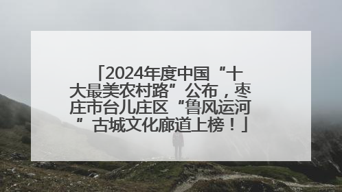 2024年度中国“十大最美农村路”公布，枣庄市台儿庄区“鲁风运河”古城文化廊道上榜！