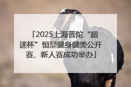2025上海普陀“超迷杯”恒鼎健身健美公开赛、新人赛成功举办
