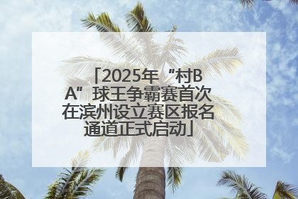 2025年“村BA”球王争霸赛首次在滨州设立赛区报名通道正式启动