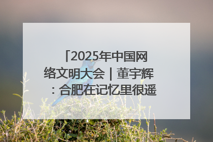 2025年中国网络文明大会｜董宇辉：合肥在记忆里很遥远也很亲切