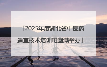 2025年度湖北省中医药适宜技术培训班圆满举办