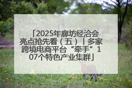 2025年廊坊经洽会亮点抢先看（五）丨多家跨境电商平台“牵手”107个特色产业集群
