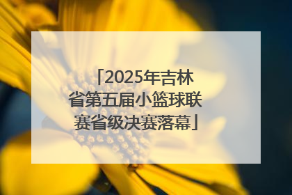 2025年吉林省第五届小篮球联赛省级决赛落幕