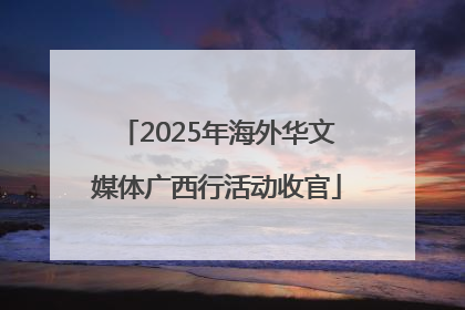 2025年海外华文媒体广西行活动收官