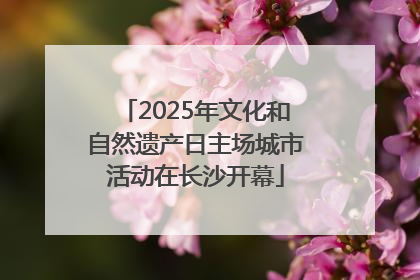 2025年文化和自然遗产日主场城市活动在长沙开幕