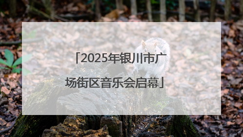 2025年银川市广场街区音乐会启幕