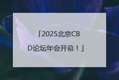 2025北京CBD论坛年会开幕！