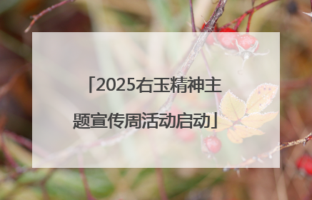 2025右玉精神主题宣传周活动启动