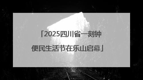 2025四川省一刻钟便民生活节在乐山启幕