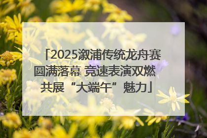 2025溆浦传统龙舟赛圆满落幕 竞速表演双燃 共展“大端午”魅力