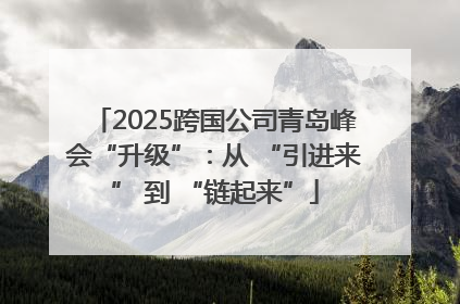 2025跨国公司青岛峰会“升级”：从 “引进来” 到 “链起来”