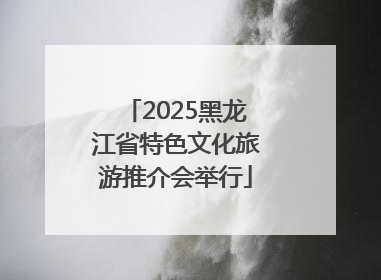 2025黑龙江省特色文化旅游推介会举行