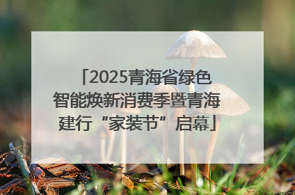 2025青海省绿色智能焕新消费季暨青海建行“家装节”启幕