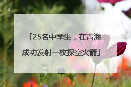 25名中学生，在青海成功发射一枚探空火箭