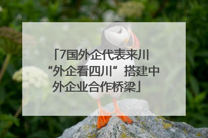 7国外企代表来川 “外企看四川”搭建中外企业合作桥梁