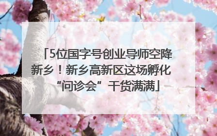 5位国字号创业导师空降新乡！新乡高新区这场孵化“问诊会”干货满满