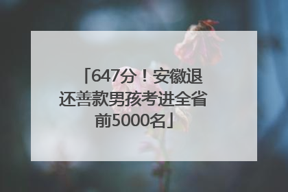 647分！安徽退还善款男孩考进全省前5000名