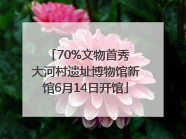 70%文物首秀 大河村遗址博物馆新馆6月14日开馆