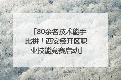 80余名技术能手比拼！西安经开区职业技能竞赛启动