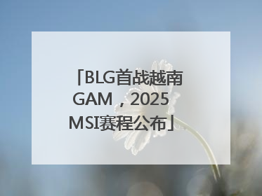 BLG首战越南GAM，2025MSI赛程公布