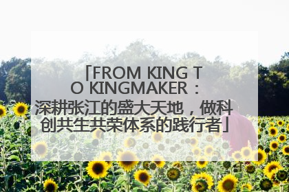 FROM KING TO KINGMAKER：深耕张江的盛大天地，做科创共生共荣体系的践行者