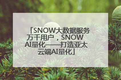 SNOW大数据服务万千用户，SNOW AI量化——打造亚太云端AI量化