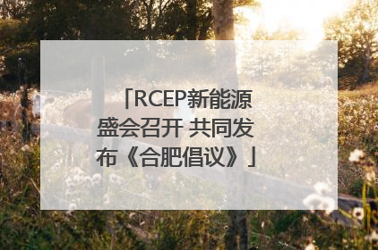 RCEP新能源盛会召开 共同发布《合肥倡议》